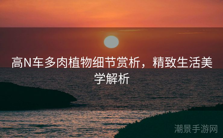 高N车多肉植物细节赏析，精致生活美学解析