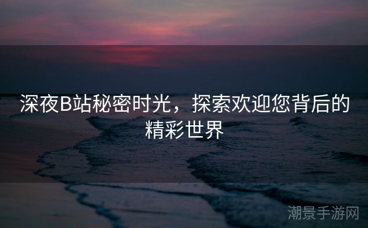 深夜B站秘密时光，探索欢迎您背后的精彩世界