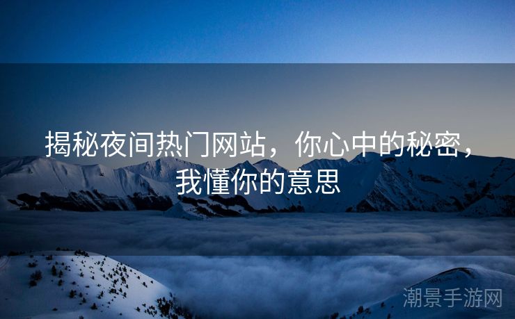 揭秘夜间热门网站，你心中的秘密，我懂你的意思
