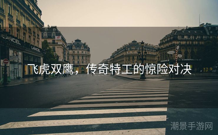 飞虎双鹰，传奇特工的惊险对决
