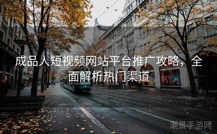 成品人短视频网站平台推广攻略，全面解析热门渠道