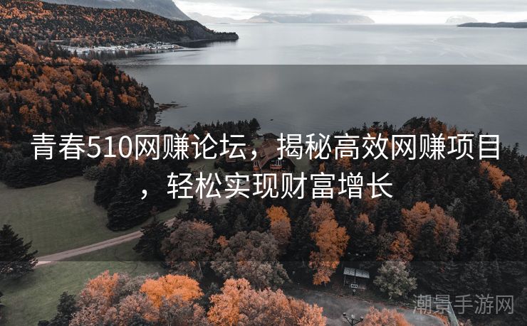 青春510网赚论坛，揭秘高效网赚项目，轻松实现财富增长